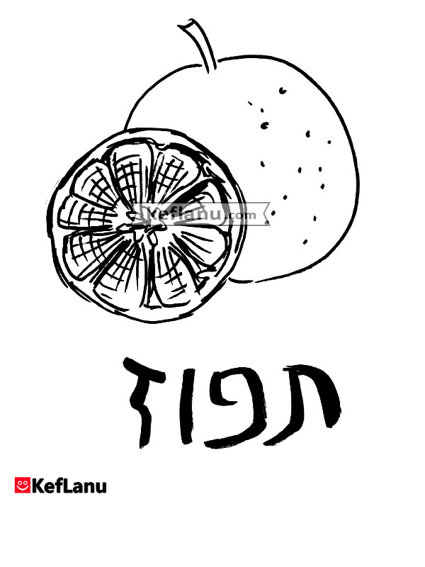 דף צביעה תפוז