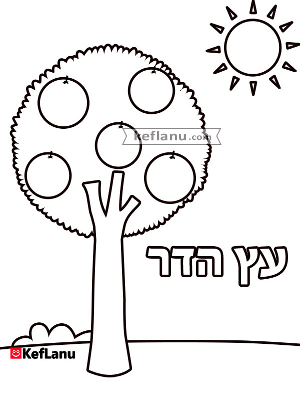 דף צביעה עץ פרי הדר