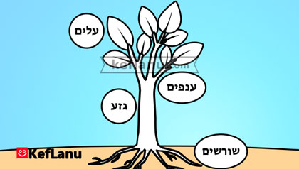 חלקי העץ דף צביעה