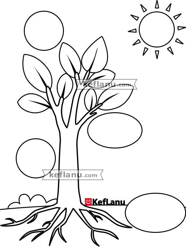 דף צביעה חלקי העץ