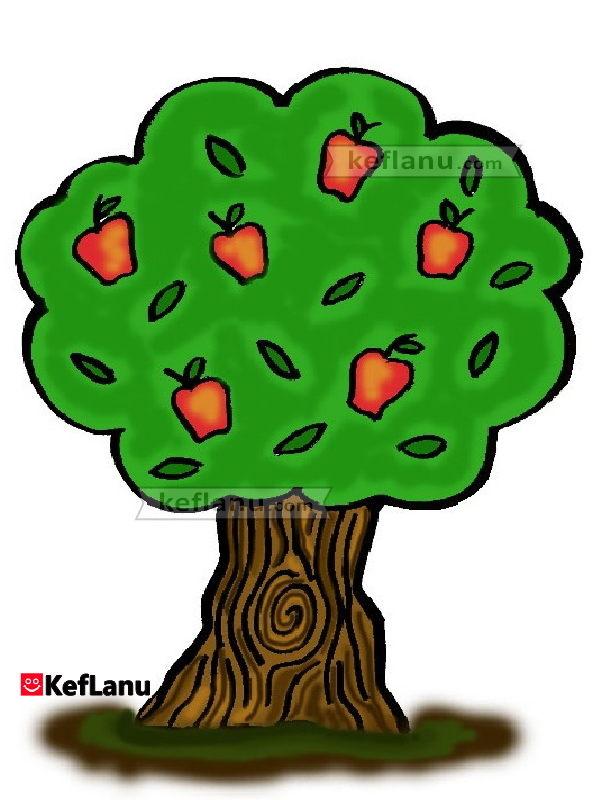 איור עץ תפוחים