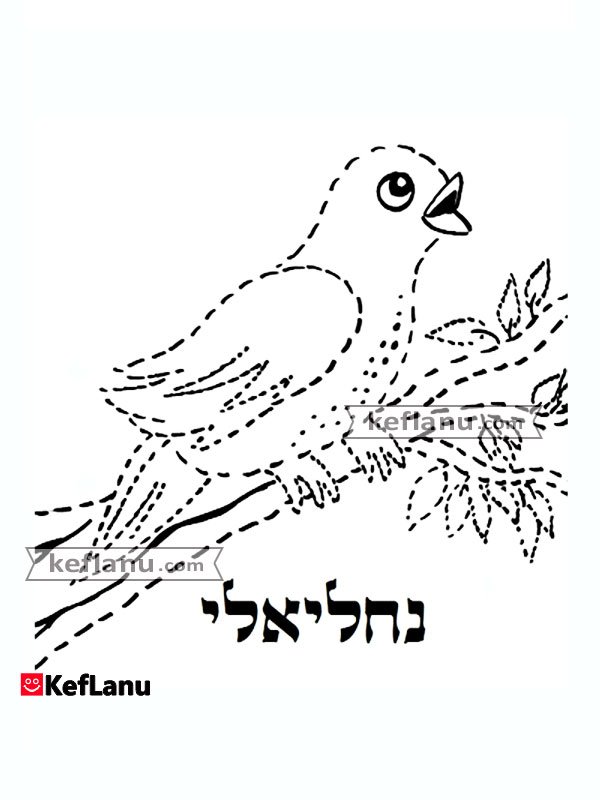 נחליאלי דף צביעה