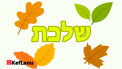 דף צביעה עלי שלכת