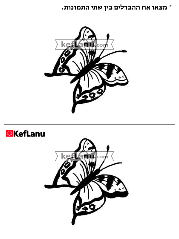 מצא את ההבדלים בתמונה