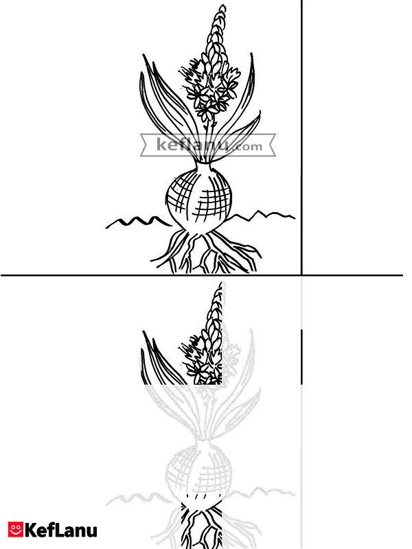 השלמת ציור חצב