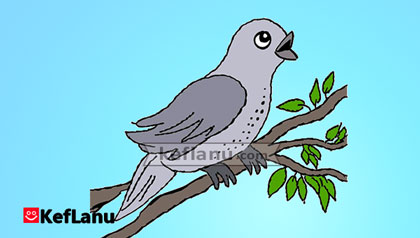 דף צביעה נחליאלי