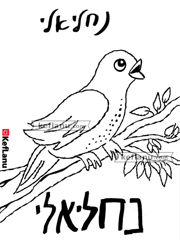 דף צביעה נחליאלי להדפסה