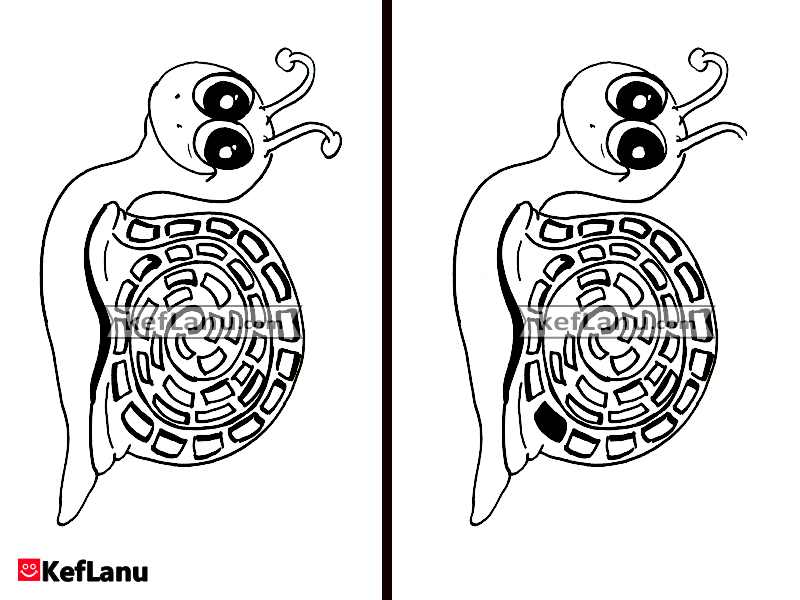 מצא את ההבדלים חילזון