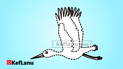 השלמת ציור חסידה