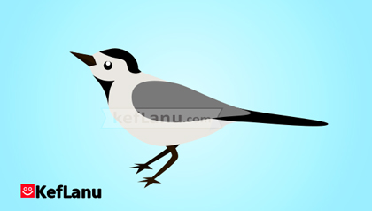 דף גזירה להדפסה נחליאלי