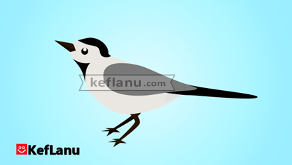 דף גזירה להדפסה נחליאלי