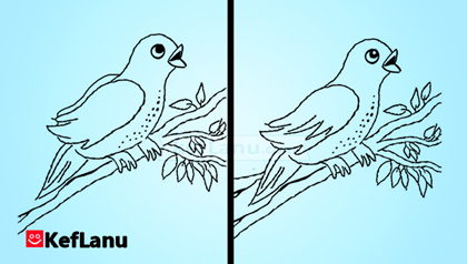 דף מצא את ההבדלים נחליאלי