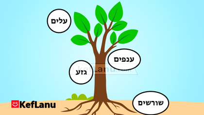 דף עבודה חלקי העץ