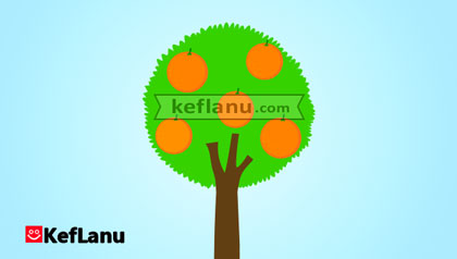 דף צביעה עץ פרי הדר