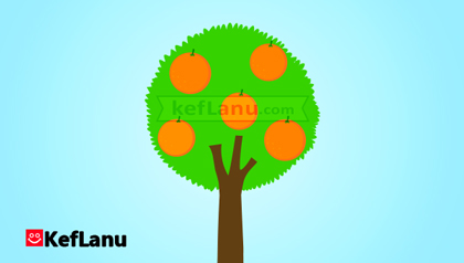 דף צביעה עץ פרי הדר