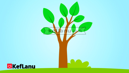 דף צביעה עץ לטו בשבט