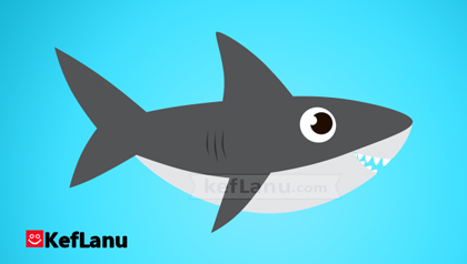 דף צביעה כריש