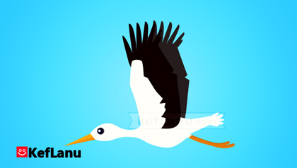 דף צביעה חסידה