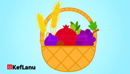 דף צביעה טנא ביכורים