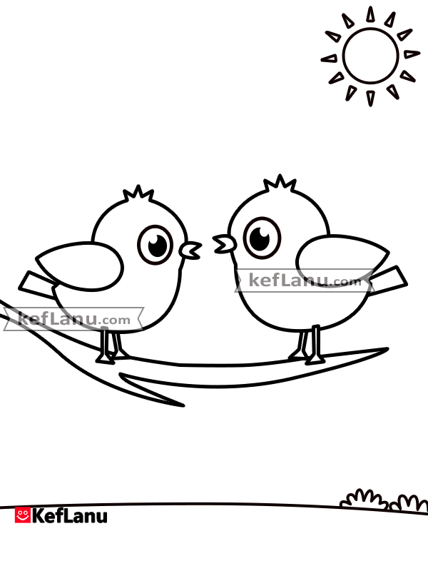 דף צביעה ציפורים