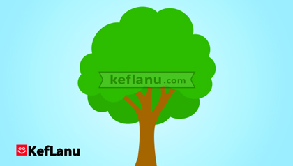 דף צביעה עץ