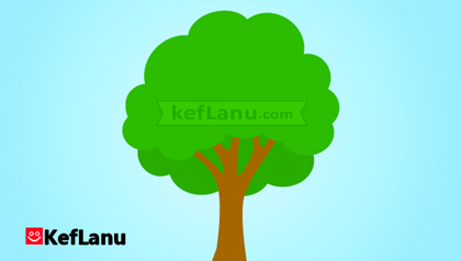 דף צביעה עץ